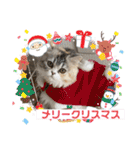 毛玉怪獣つなちゃんスタンプ3（個別スタンプ：23）