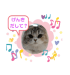 毛玉怪獣つなちゃんスタンプ3（個別スタンプ：25）