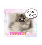 毛玉怪獣つなちゃんスタンプ3（個別スタンプ：26）