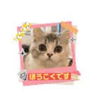 毛玉怪獣つなちゃんスタンプ3（個別スタンプ：31）