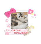 毛玉怪獣つなちゃんスタンプ3（個別スタンプ：32）