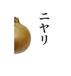 玉ねぎの写真スタンプ【BIC】（個別スタンプ：26）