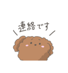 ふわふわトイプードル！（個別スタンプ：31）