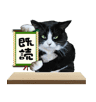 リアルおやじ猫ころにーた【関西弁】大阪府（個別スタンプ：24）