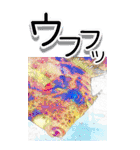 埼玉の黒鯛魂☆BIG☆海釣り-リアル-（個別スタンプ：38）
