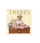 タレ目のテディさん♡3（個別スタンプ：3）