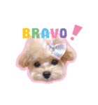 タレ目のテディさん♡3（個別スタンプ：9）