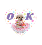 タレ目のテディさん♡3（個別スタンプ：12）