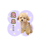 タレ目のテディさん♡3（個別スタンプ：14）