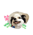 ゆずちゃんスタンプときどきさくらちゃん（個別スタンプ：4）