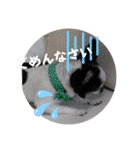 ゆずちゃんスタンプときどきさくらちゃん（個別スタンプ：6）