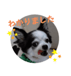 ゆずちゃんスタンプときどきさくらちゃん（個別スタンプ：10）