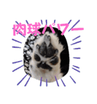 ゆずちゃんスタンプときどきさくらちゃん（個別スタンプ：21）