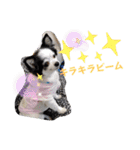 ゆずちゃんスタンプときどきさくらちゃん（個別スタンプ：22）