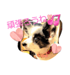 ゆずちゃんスタンプときどきさくらちゃん（個別スタンプ：30）
