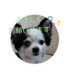 ゆずちゃんスタンプときどきさくらちゃん（個別スタンプ：34）