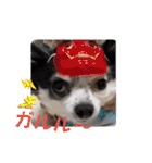 ゆずちゃんスタンプときどきさくらちゃん（個別スタンプ：35）