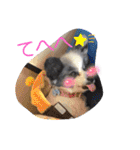 ゆずちゃんスタンプときどきさくらちゃん（個別スタンプ：36）