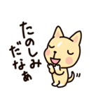 にこにこ ころわん（個別スタンプ：16）