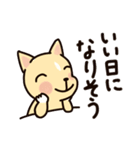 にこにこ ころわん（個別スタンプ：37）