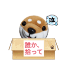 柴犬のぬいぐるみ太郎2（個別スタンプ：11）