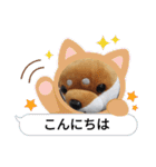 柴犬のぬいぐるみ太郎2（個別スタンプ：12）