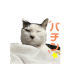 リンタロスァン第3弾（個別スタンプ：3）