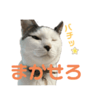 リンタロスァン第3弾（個別スタンプ：4）