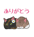 さびねことレモン【修正版】（個別スタンプ：2）