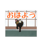 さびねことレモン【修正版】（個別スタンプ：4）