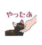 さびねことレモン【修正版】（個別スタンプ：5）