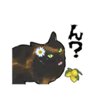 さびねことレモン【修正版】（個別スタンプ：20）