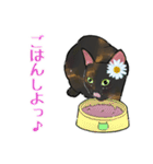 さびねことレモン【修正版】（個別スタンプ：28）