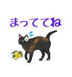 さびねことレモン【修正版】（個別スタンプ：36）