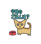 ばあちゃん家の猫たち（個別スタンプ：16）