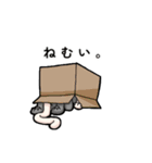 ガーターねこ（個別スタンプ：4）