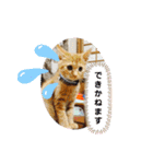 バロンだにゃ。敬語編（個別スタンプ：7）
