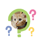 バロンだにゃ。敬語編（個別スタンプ：11）