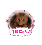 バロンだにゃ。敬語編（個別スタンプ：16）