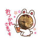 バロンだにゃ。敬語編（個別スタンプ：17）