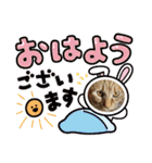 バロンだにゃ。敬語編（個別スタンプ：19）
