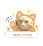 バロンだにゃ。敬語編（個別スタンプ：22）