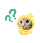 バロンだにゃ。敬語編（個別スタンプ：26）