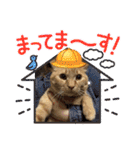 バロンだにゃ。敬語編（個別スタンプ：31）
