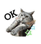 実家の猫なーな（個別スタンプ：9）