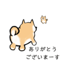 柴犬 あいさつ（個別スタンプ：6）