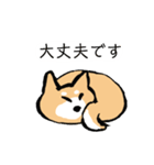 柴犬 あいさつ（個別スタンプ：7）