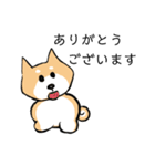 柴犬 あいさつ（個別スタンプ：21）