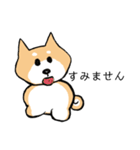 柴犬 あいさつ（個別スタンプ：22）