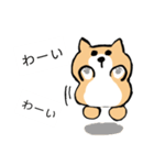 柴犬 あいさつ（個別スタンプ：23）